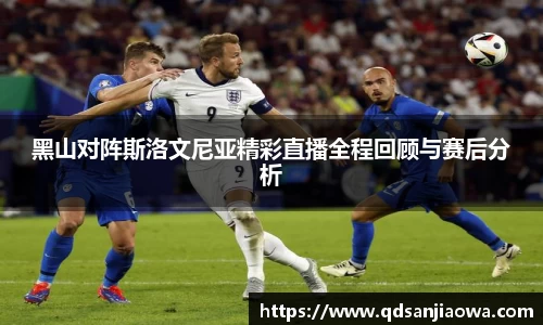黑山对阵斯洛文尼亚精彩直播全程回顾与赛后分析